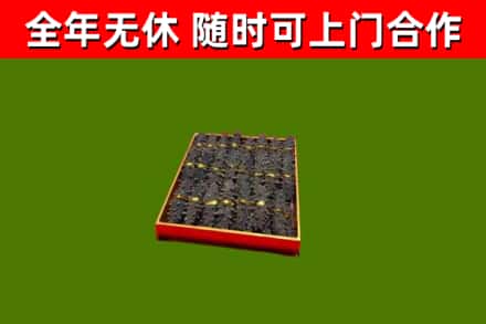 克孜勒苏回收海参